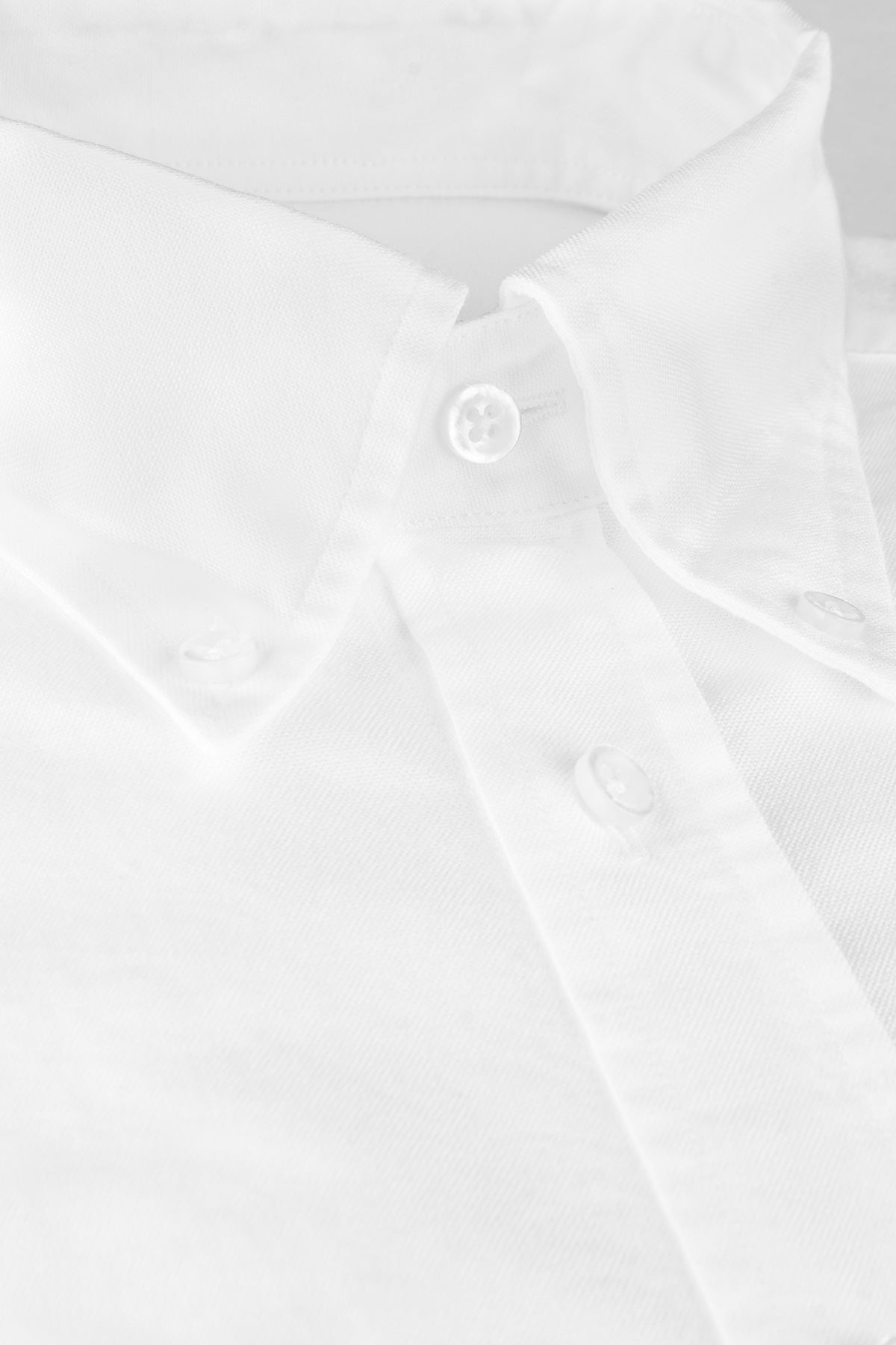 White button down oxford regular fit shirt